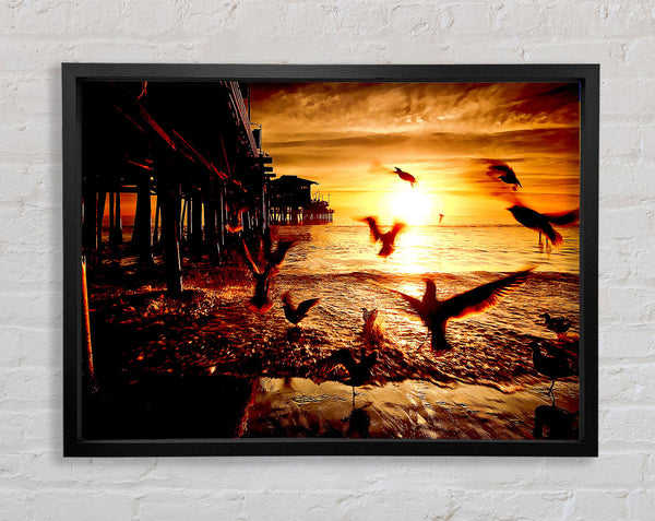 Sea And Fly Birds Framed Print