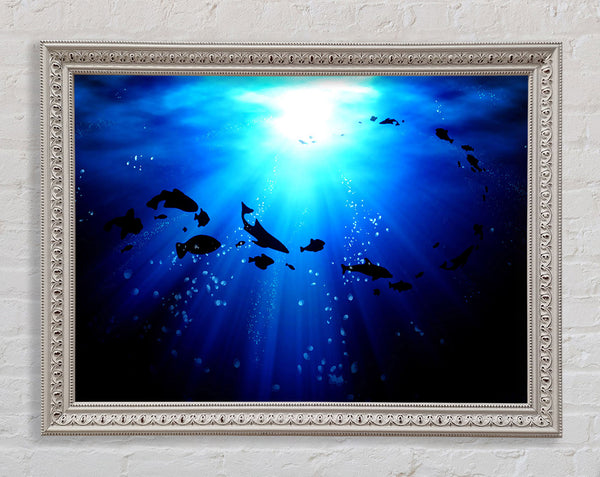 Life Under The Ocean Framed Print
