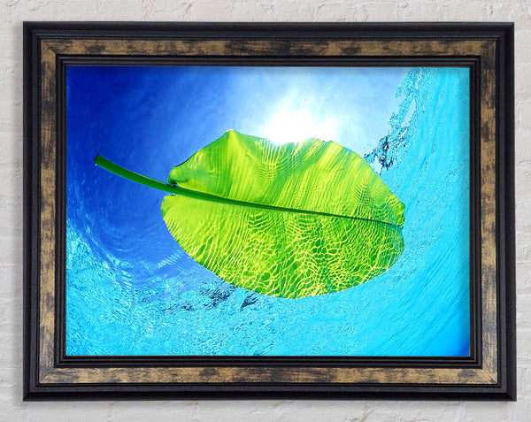 Blue Waters Of A Green Leaf Framed Print