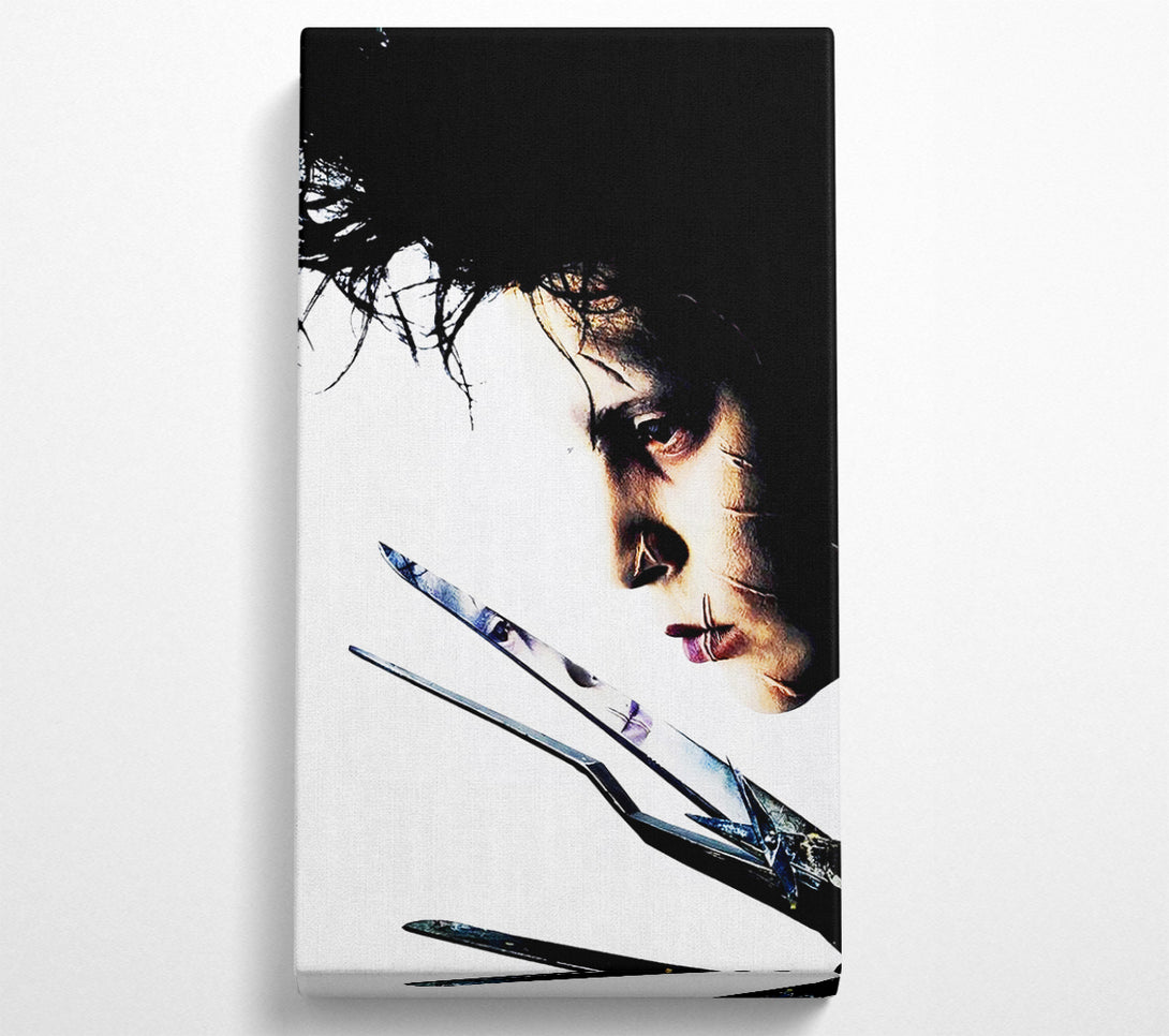  A Canvas Print of Edward Scissorhands Johnny Depp Canvas Print