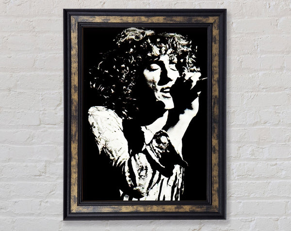 Roger Daltery The Who Framed Print