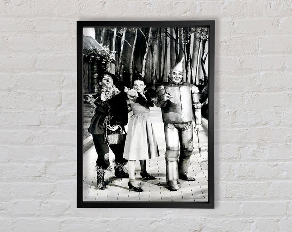 The Wizard Of Oz Framed Print