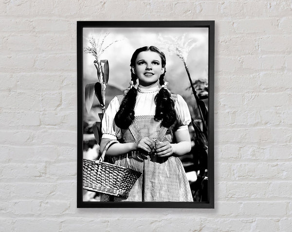 Wizard Of Oz Dorothy Framed Print