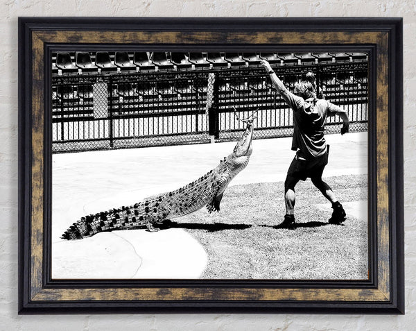 Steve Irwin Crocodile Hunter Framed Print