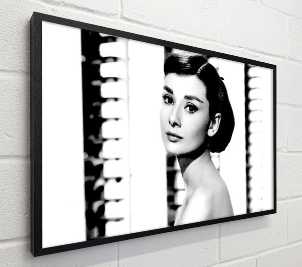 Audrey Hepburn