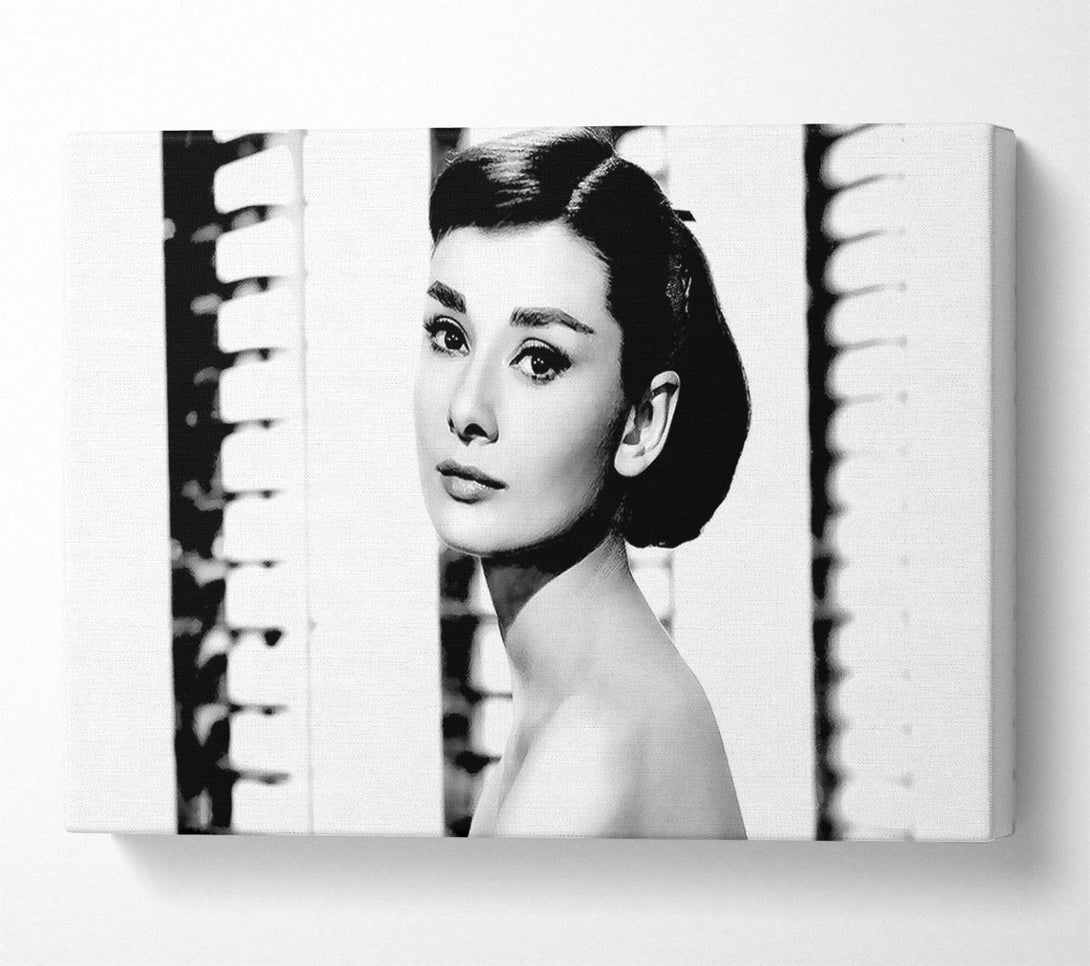  A Canvas Print of Audrey Hepburn Canvas Print