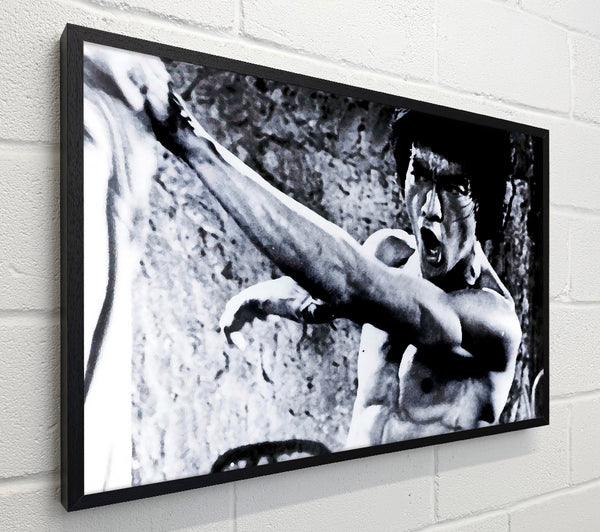 Bruce Lee Fist Of Power