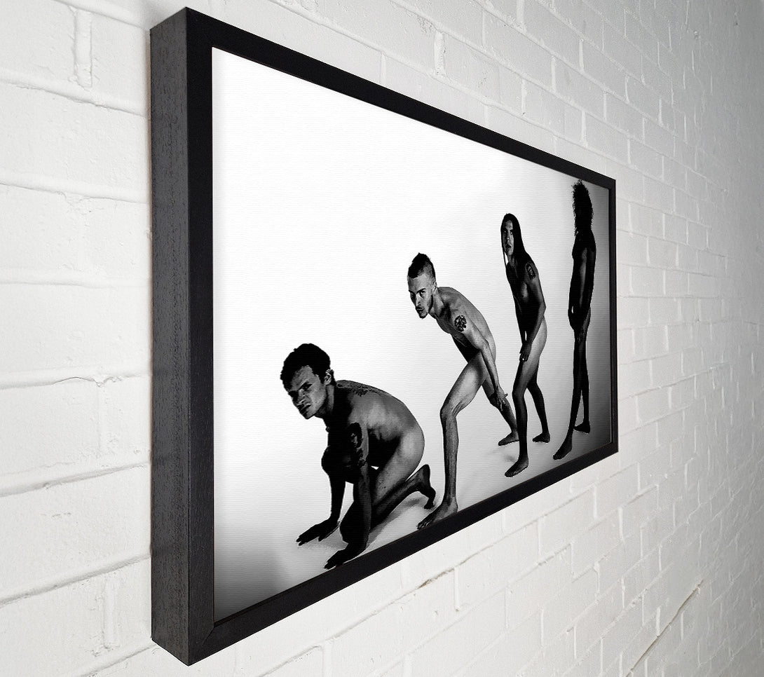  A Canvas Print of Red Hot Chili Peppers Evolution Canvas Print