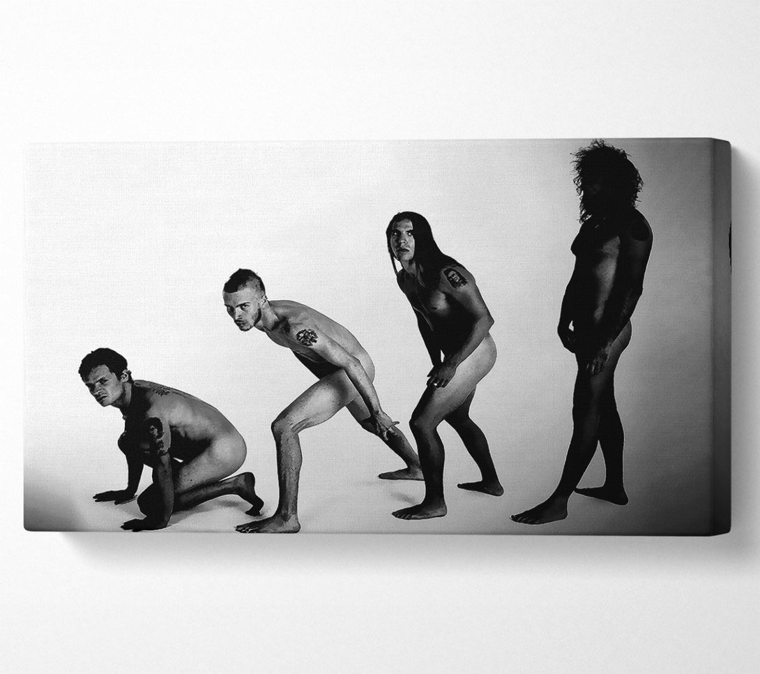  A Canvas Print of Red Hot Chili Peppers Evolution Canvas Print