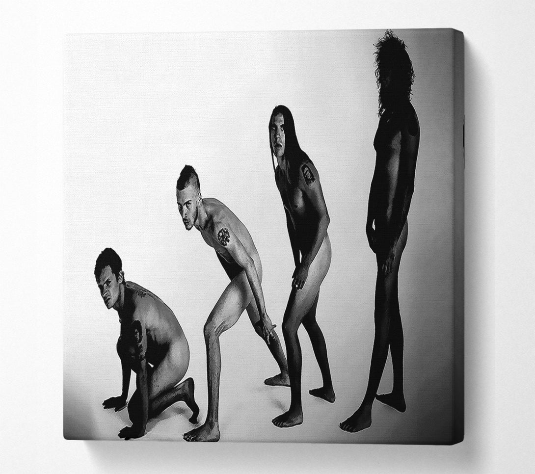  A Canvas Print of Red Hot Chili Peppers Evolution Canvas Print