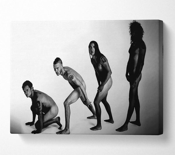  A Canvas Print of Red Hot Chili Peppers Evolution Canvas Print