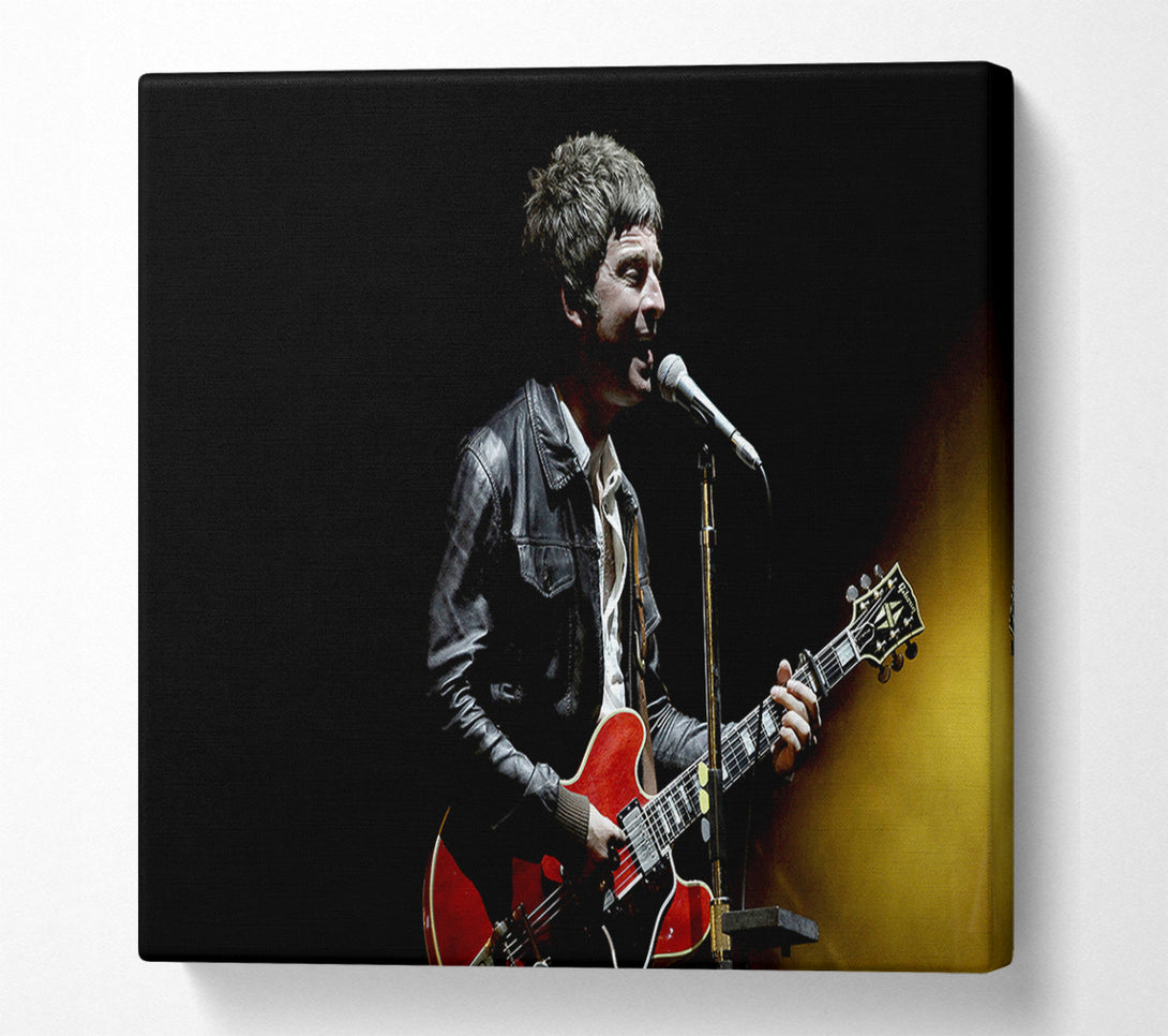  A Canvas Print of Noel Gallagher On Stage Canvas Art
