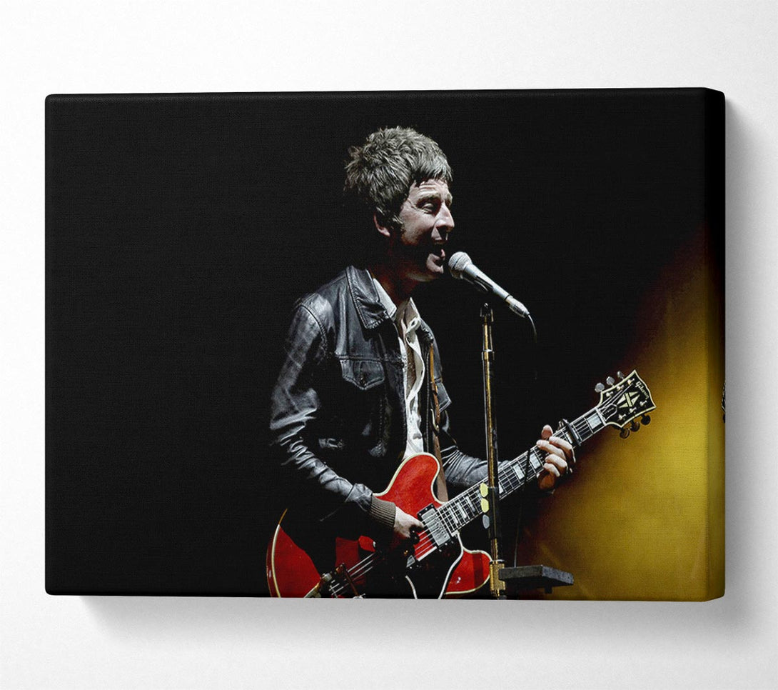  A Canvas Print of Noel Gallagher On Stage Canvas Art
