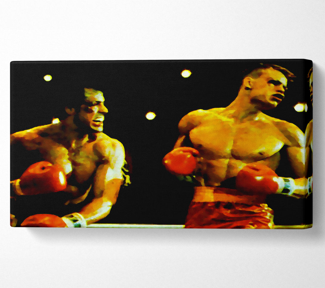  A Canvas Print of Rocky Fighting Back Canvas Print