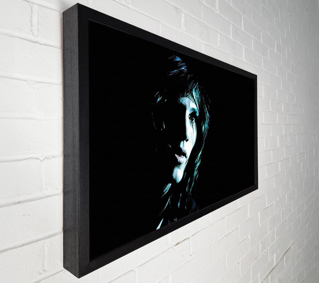  A Canvas Print of Roger Waters Pink Floyd Canvas Art