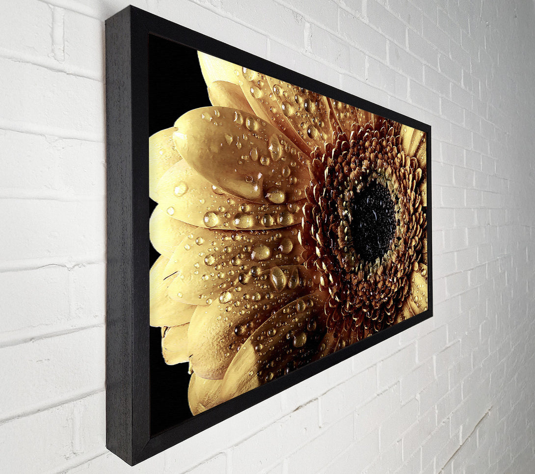  A Canvas Print of Gerbera Vintage Canvas Print