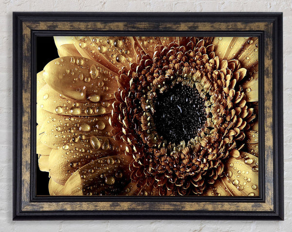 Gerbera Vintage Framed Print