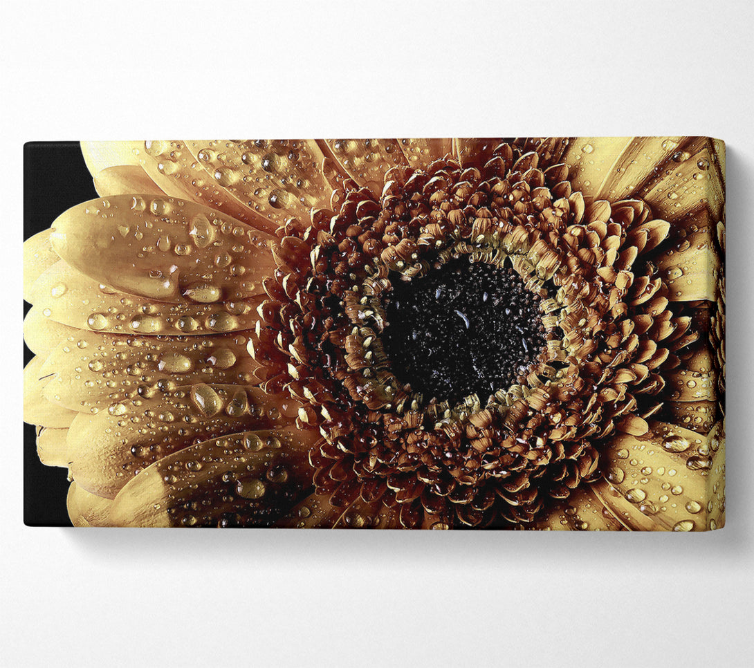  A Canvas Print of Gerbera Vintage Canvas Print