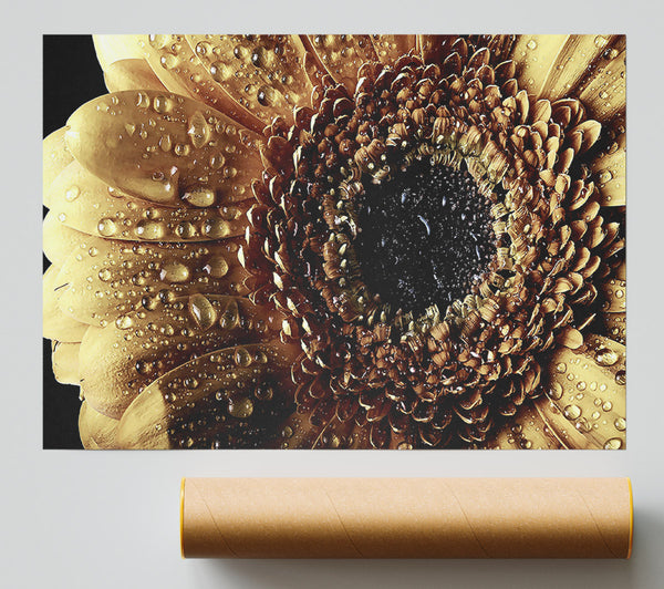 Gerbera Vintage Poster