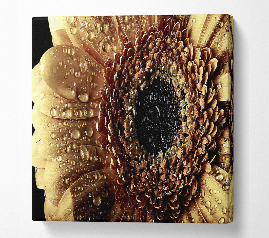  A Canvas Print of Gerbera Vintage Canvas Print