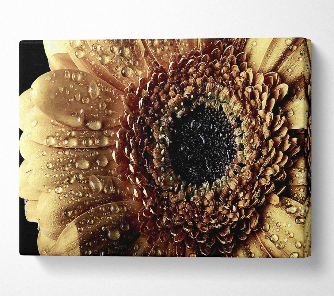  A Canvas Print of Gerbera Vintage Canvas Print