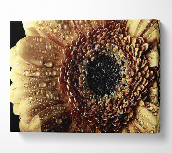  A Canvas Print of Gerbera Vintage Canvas Print