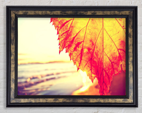 Rust Coloured Leaf Framed Print