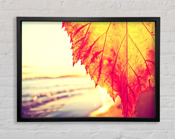 Rust Coloured Leaf Framed Print
