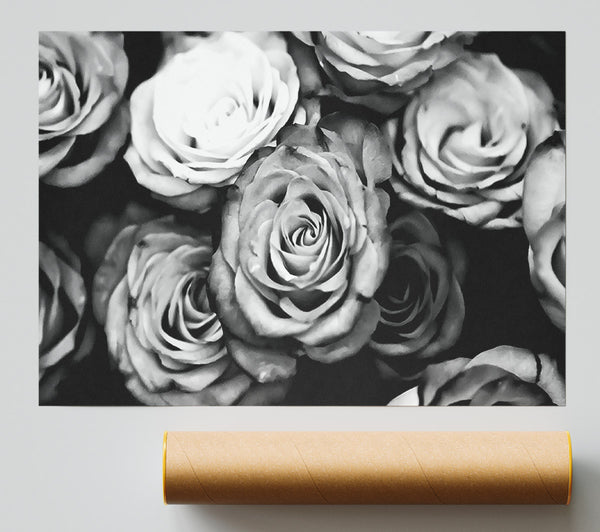 Roses Black And White Giclee Print