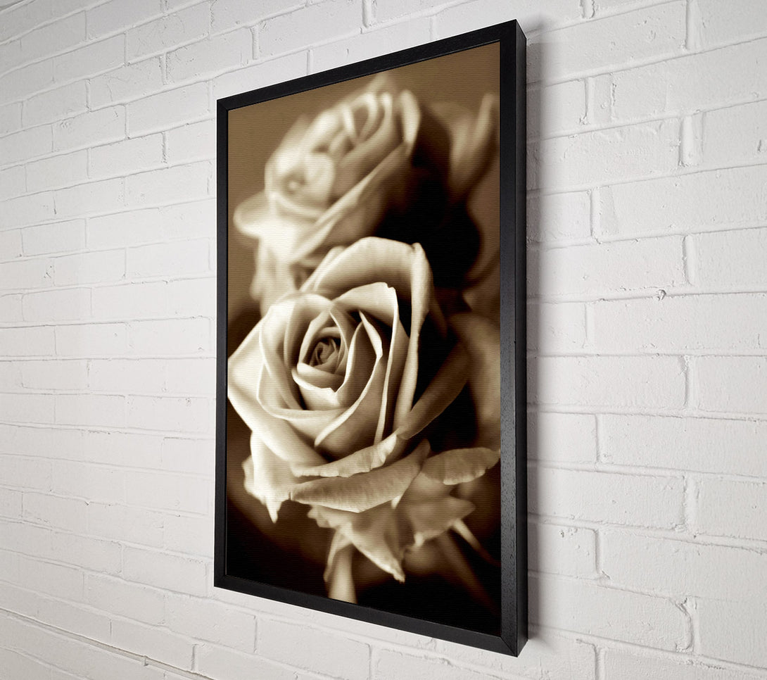  A Canvas Print of Sunning Sepia Roses Canvas Art