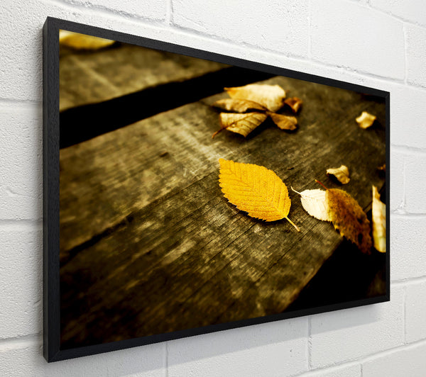 Autumn Leaves On The Deck