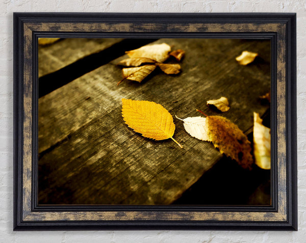 Autumn Leaves On The Deck Framed Print