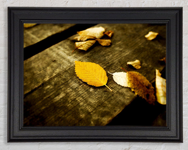 Autumn Leaves On The Deck Framed Print