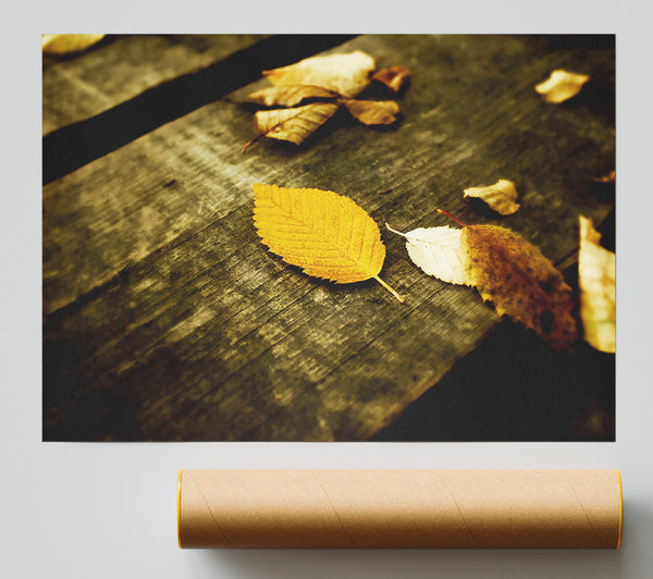 Autumn Leaves On The Deck Poster