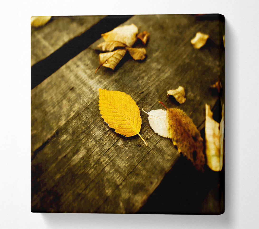  A Canvas Print of Autumn Leaves On The Deck Canvas Wall Art