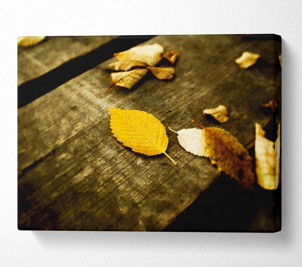  A Canvas Print of Autumn Leaves On The Deck Canvas Wall Art