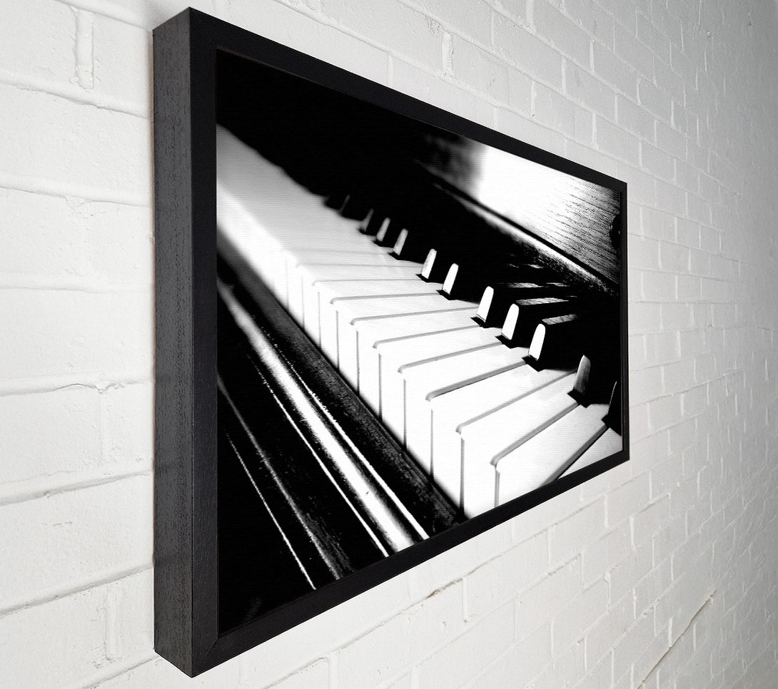  A Canvas Print of Ebony And Ivory Canvas Wall Art