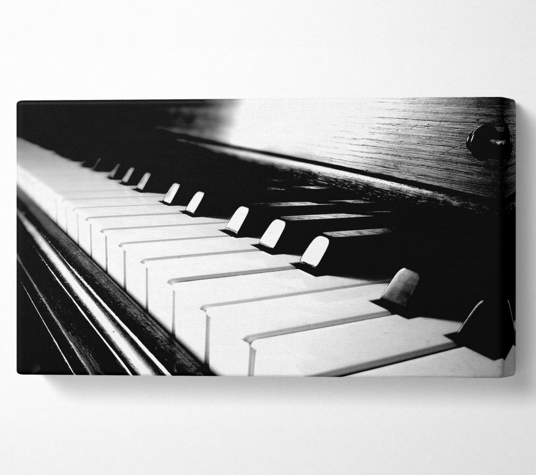 A Canvas Print of Ebony And Ivory Canvas Wall Art