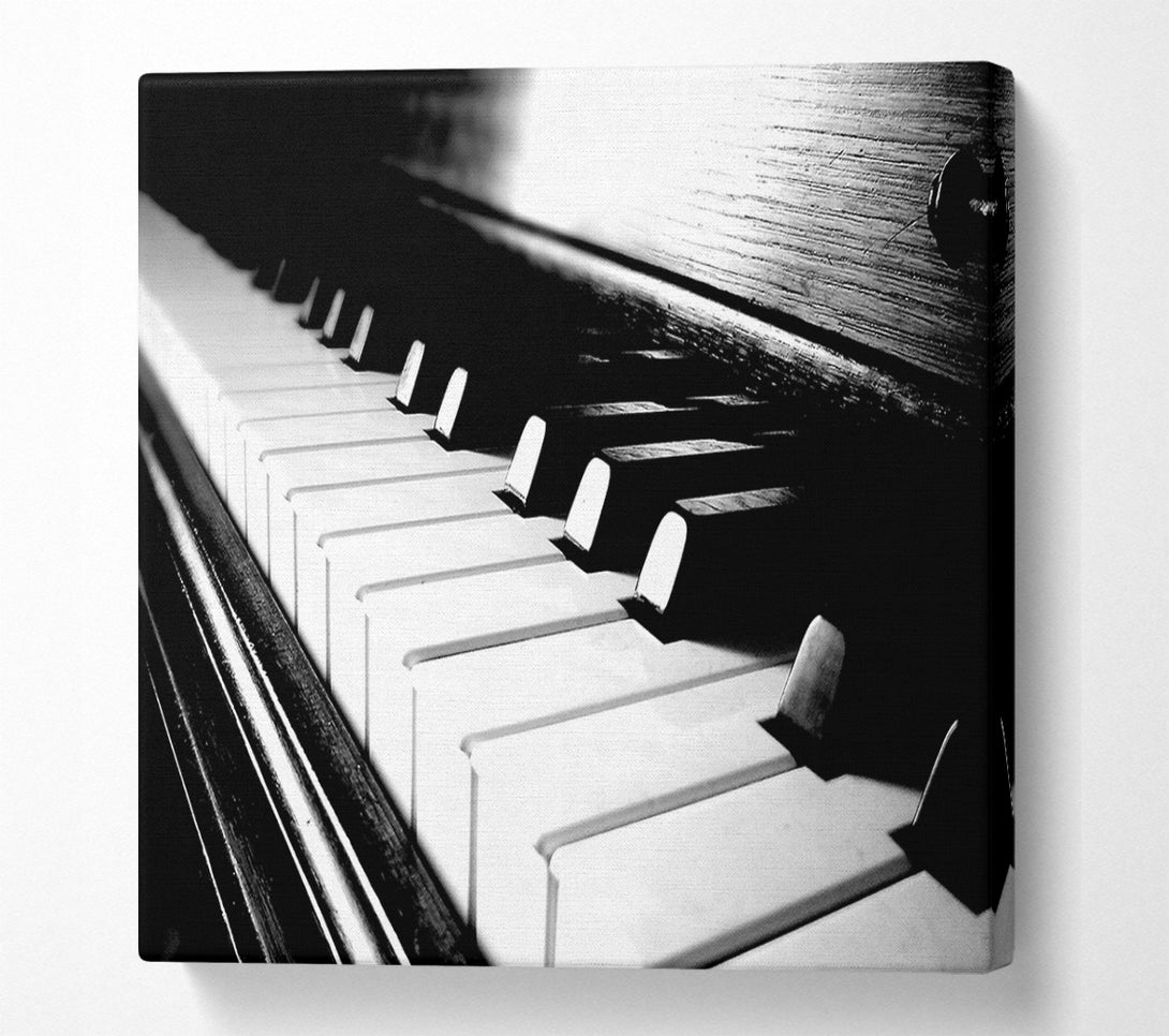  A Canvas Print of Ebony And Ivory Canvas Wall Art