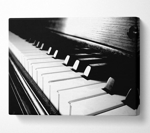  A Canvas Print of Ebony And Ivory Canvas Wall Art