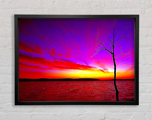 Sunset Tree Rainbow Skies Framed Print