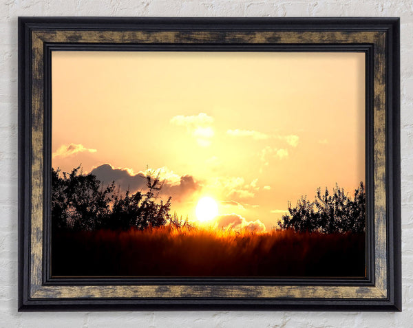 Golden Wheat Field At Sunset Framed Print