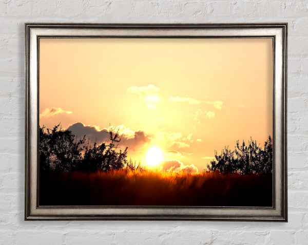 Golden Wheat Field At Sunset Framed Print