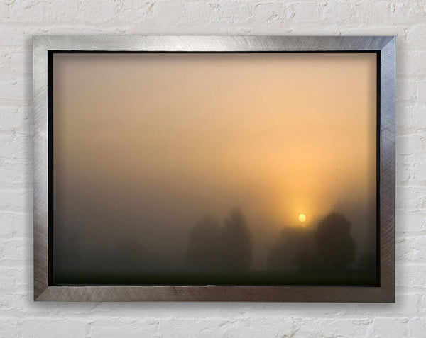 Foggy Day Framed Print