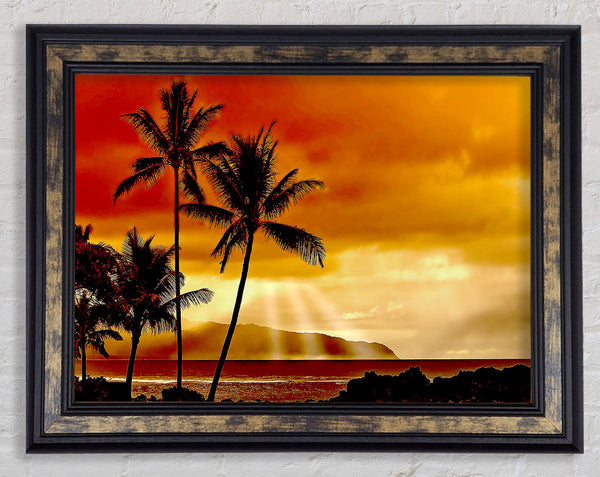 Sunset In The Tropics Framed Print
