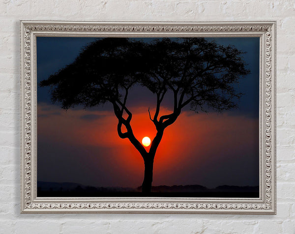 Beautiful Red Sunset Between The Tree Framed Print