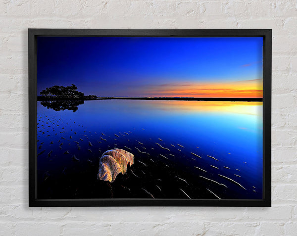 Shell On The Deep Blue Ocean Framed Print
