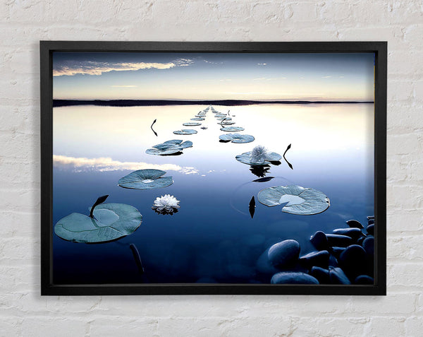 Lilies Framed Print