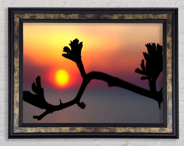 Embrace The Sun Framed Print
