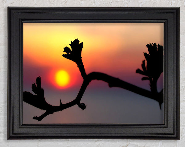 Embrace The Sun Framed Print
